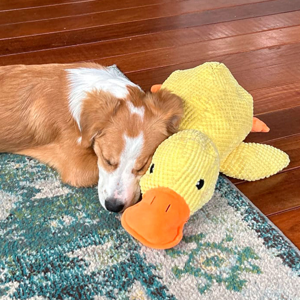 š¦Best Pet Supplies Crinkle Duck Plushš¦