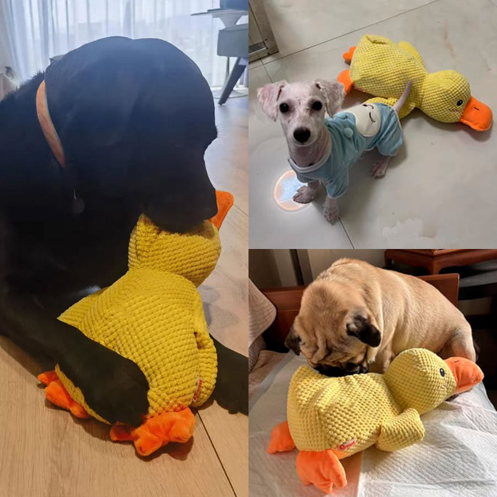 š¦Best Pet Supplies Crinkle Duck Plushš¦