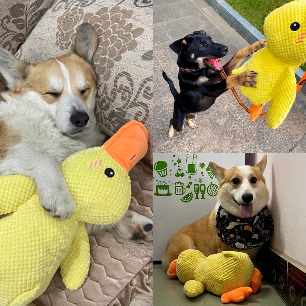 š¦Best Pet Supplies Crinkle Duck Plushš¦