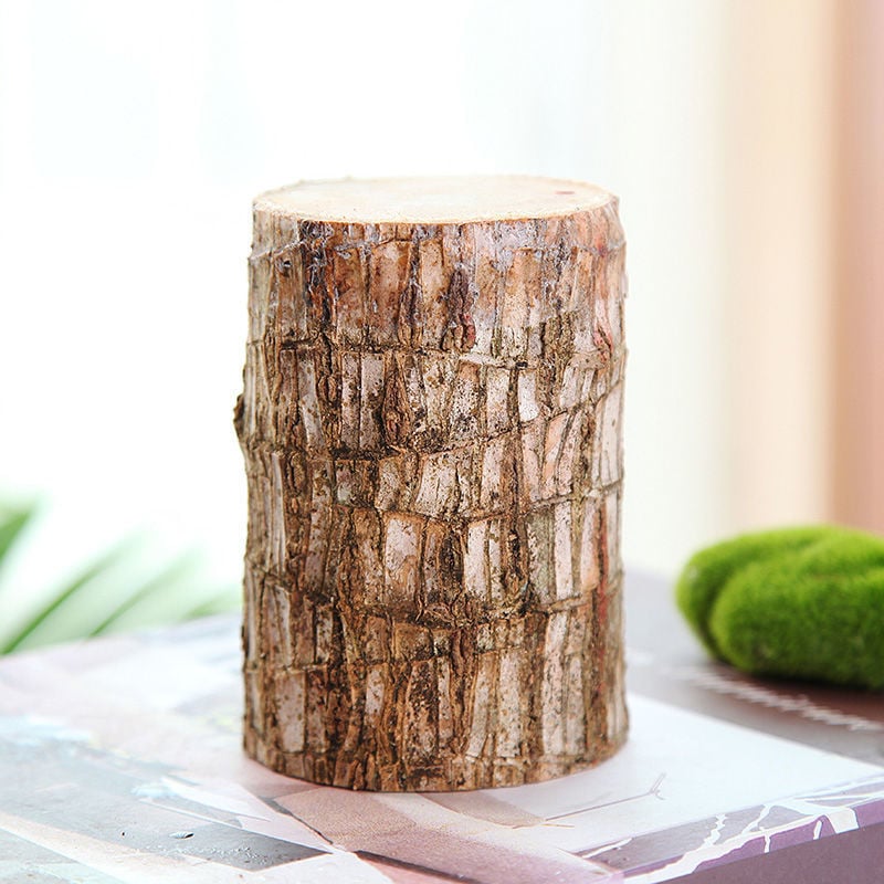 ✨Special Sale - 49% OFF✨Lucky Brazil Wood Potted Plant
