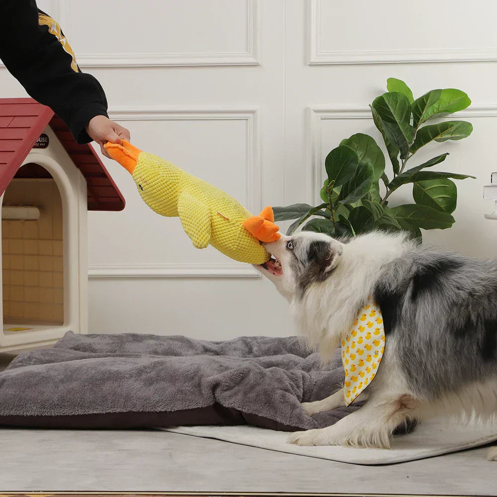 š¦Best Pet Supplies Crinkle Duck Plushš¦
