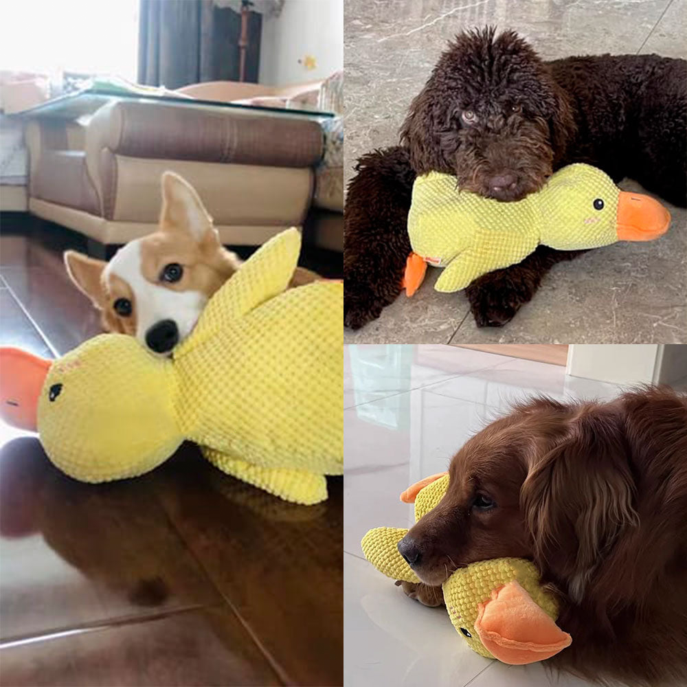 š¦Best Pet Supplies Crinkle Duck Plushš¦