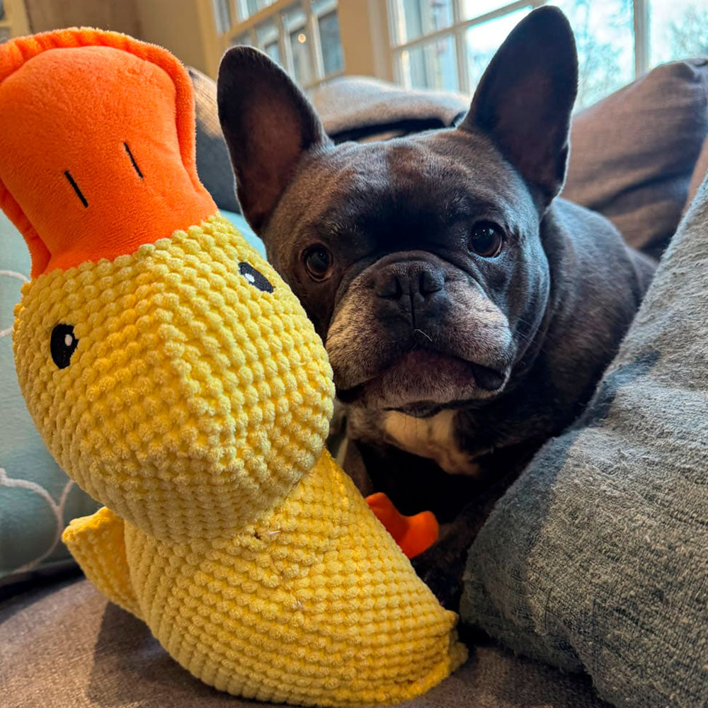 š¦Best Pet Supplies Crinkle Duck Plushš¦